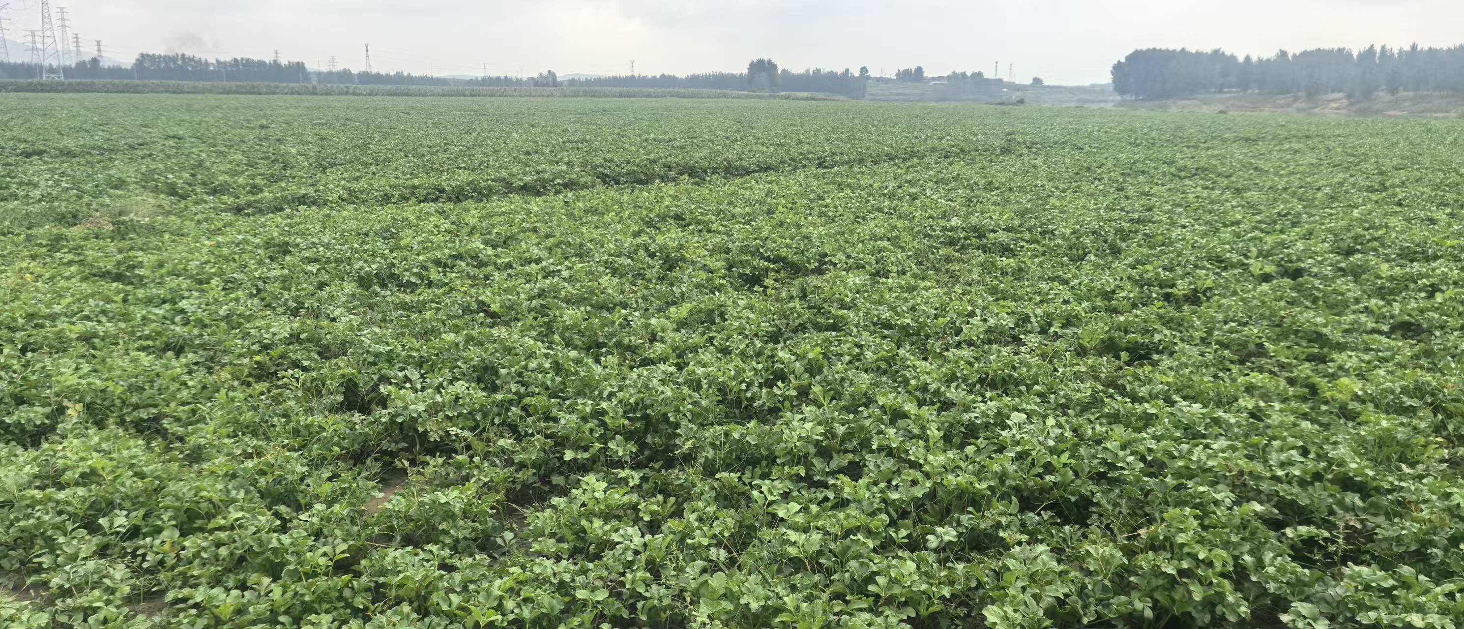 【政策动态】国家药监局关...