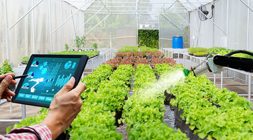 智慧农业解决方案