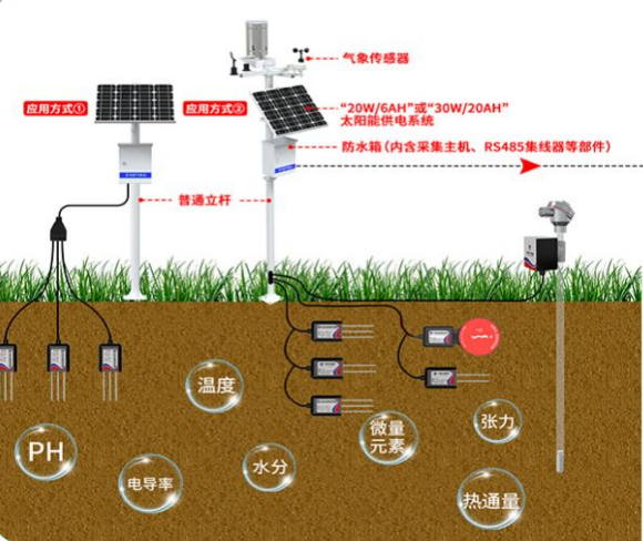 AI + 农业 | 土壤 &ldquo;体检&rdquo; 智慧赋能，筑牢良田丰产根基