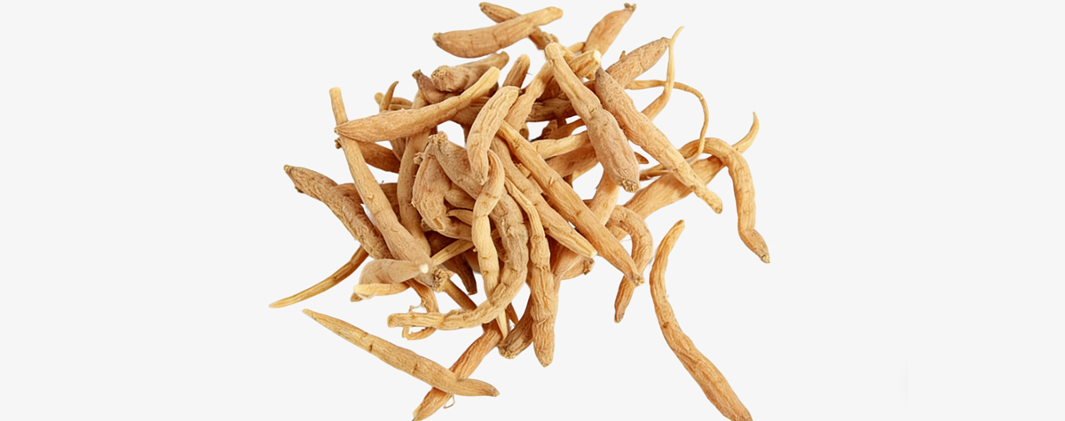 太子参GAP系统项目