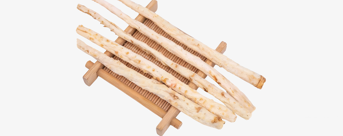 >北沙参GAP体系项目